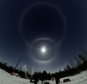 Joe Moon Halo