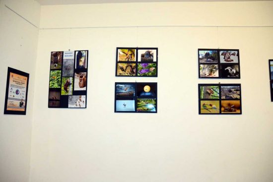 Tarquinia - Inaugurata la mostra del concorso "Memorial Emilio Valerioti", in esposizione 152 fotografie