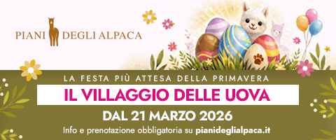 Piani-degli-aplpaca-480-200-feb-2026