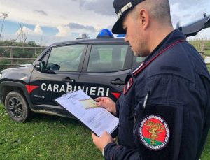 Vetralla - Carabinieri forestali - Rifiuti pericolosi abbandonati