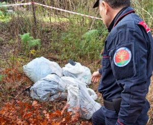 Vetralla - Carabinieri forestali - Rifiuti pericolosi abbandonati