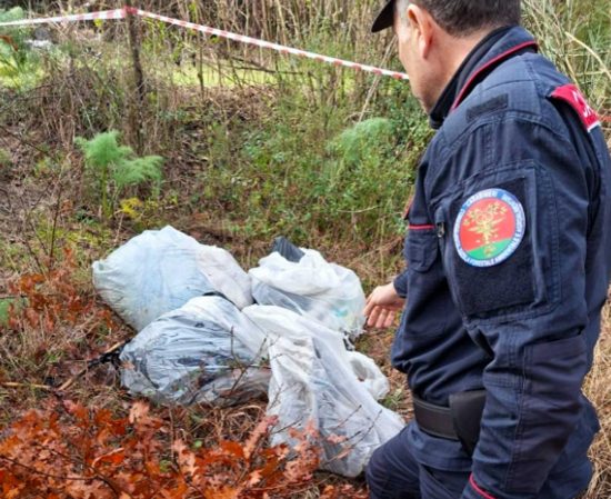 Vetralla - Carabinieri forestali - Rifiuti pericolosi abbandonati