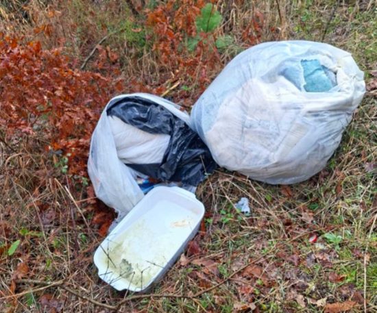 Vetralla - Carabinieri forestali - Rifiuti pericolosi abbandonati