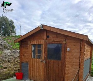 Tuscania - Carabinieri forestali - Il prefabbricato abusivo