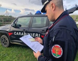 Carabinieri forestali