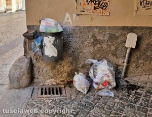 Cestini pieni di immondizia tra corso Italia e via Mazzini 