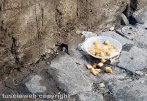 Viterbo - Via degli Scalzi nel deViterbo - Via degli Scalzi nel degrado e abbandonatagrado e abbandonata
