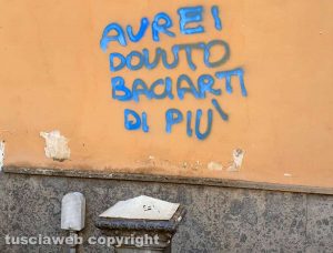 Viterbo - Imbrattati i muri nel centro storico