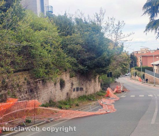 Viterbo - Cadute transenne in via della Pila