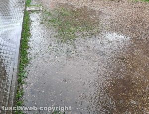 Il giardino della scuola dell’infanzia di Cura di Vetralla