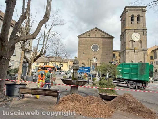 La Quercia - I lavori di piantumazione