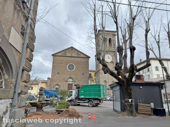 La Quercia - I lavori di piantumazione
