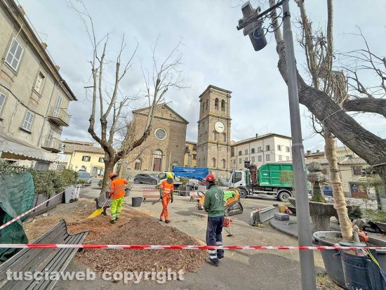 La Quercia - I lavori di piantumazione