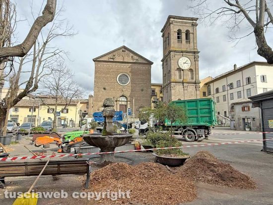 La Quercia - I lavori di piantumazione