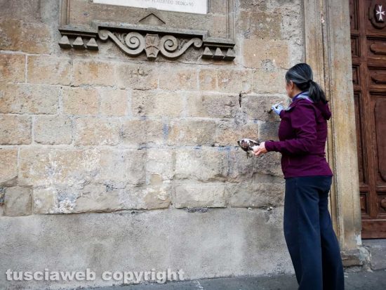 Scritte sataniche sulla chiesa di San Faustino - L'intervento di Eleonora Petrilli, biologa nutrizionista viterbese