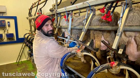Bagnoregio - Incendio allo stabilimento ex Alta - Pota, operaio indiano dell’azienda agricola Amaltea di Luciano Trucca