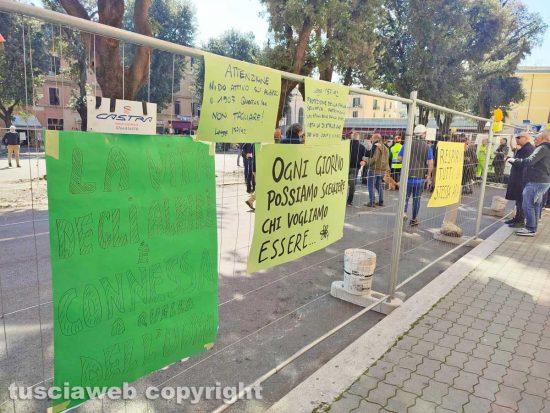 Civitavecchia - Via al taglio degli alberi in piazza del mercato