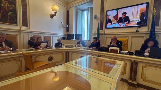 Saline - Audizione commissione Ambiente Camera