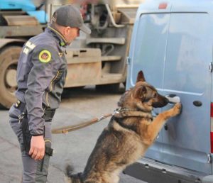 I controlli antidroga della guardia di finanza