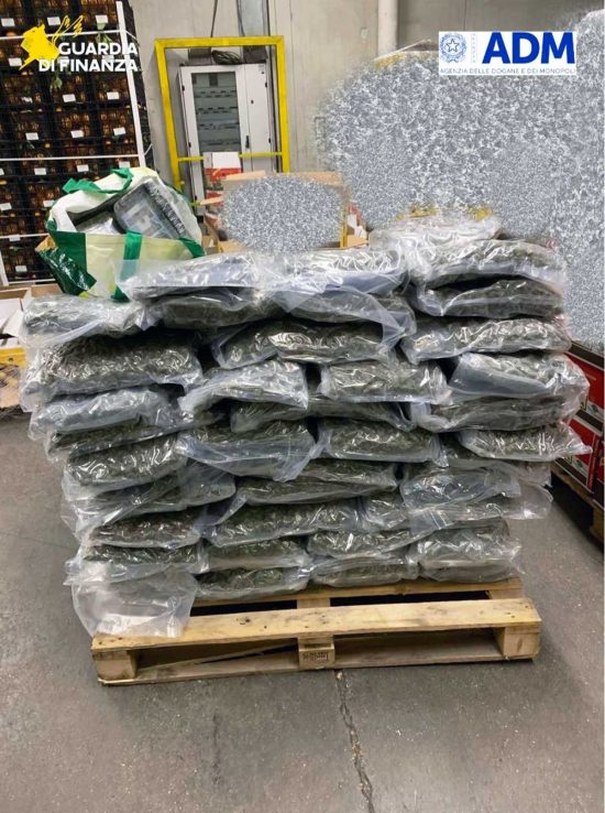 Civitavecchia - Guardia di finanza - Sequestrati 8 chili di cocaina e 93 di marijuana al porto