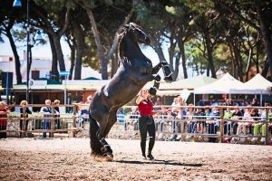 La Fiera Maremma d'aMare