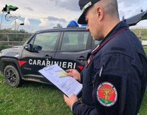 Tarquinia - Carabinieri forestale