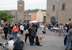 Bassano in Teverina - Car boot sale e mostra canina