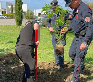 Tarquinia - Bosco urbano, l'iniziativa con gli studenti dell’Ic "Ettore-Sacconi"
