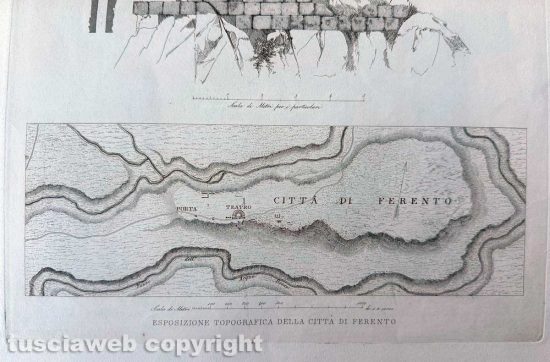 Esposizione topografica della città di Ferento