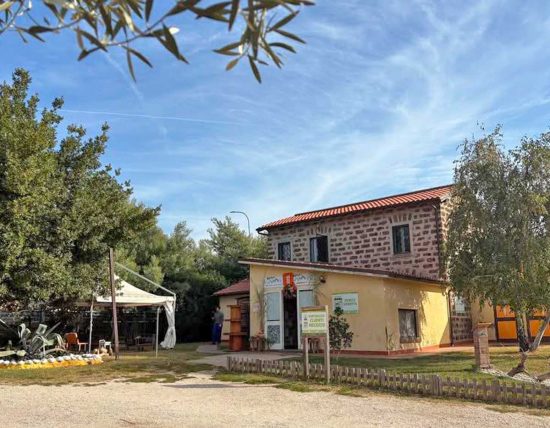 La fattoria di Alice