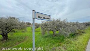 Viterbo - Il terreno tra via Biga di Castro e Strada Capretta dove sorgerà la futura pista per lo skateboard