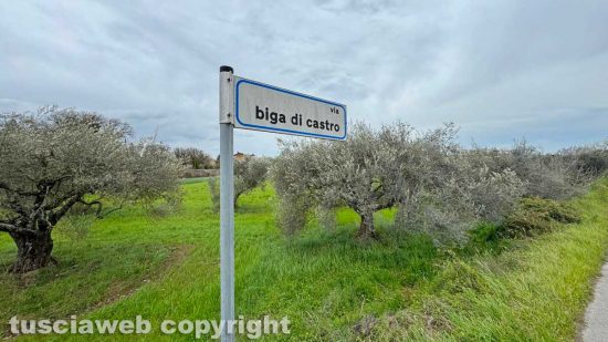 Viterbo - Il terreno tra via Biga di Castro e Strada Capretta dove sorgerà la futura pista per lo skateboard