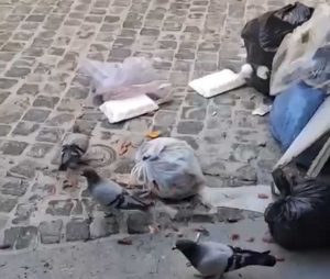 Civitavecchia - Alcuni dei rifiuti abbandonati a piazza Leandra