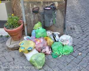 Viterbo - Rifiuti in via dei Mille