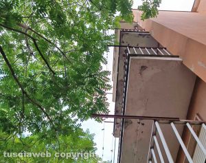 Viterbo - La vegetazione infestante di fronte al condominio di via Bramante 