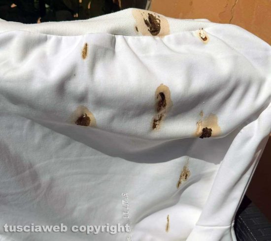 Viterbo - Gli escrementi di piccione sui vestiti stesi in centro