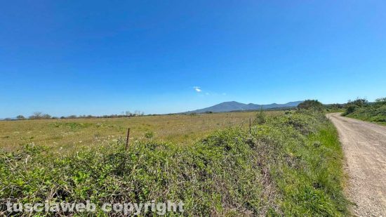 Grotte Santo Stefano - Località Pianauta