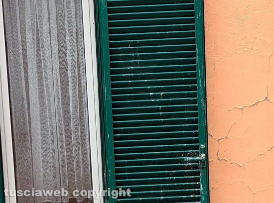 Viterbo - Gli escrementi di piccione in centro