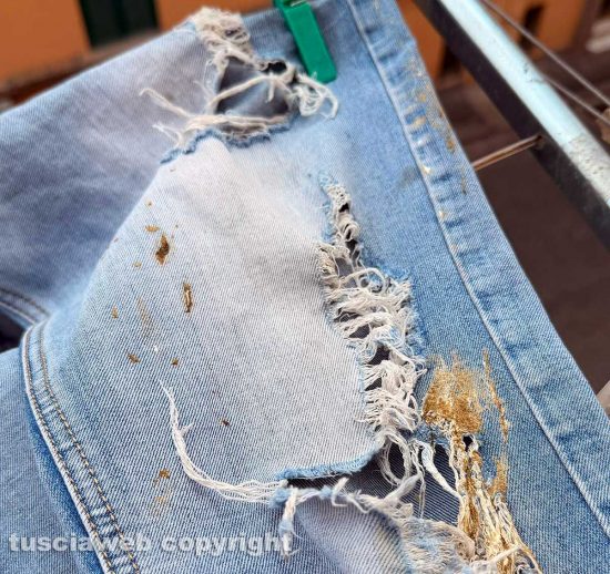 Viterbo - Gli escrementi di piccione sui vestiti stesi in centro