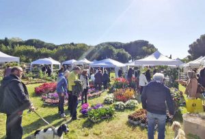 La XVII edizione di Terme in Fiore