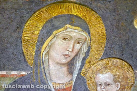 L'immagine della Maria santissima Liberatrice restaurata