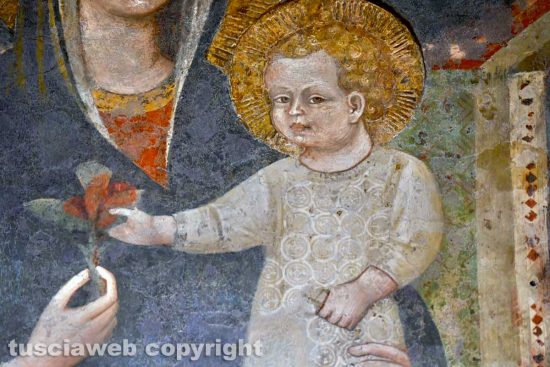 L'immagine della Maria santissima Liberatrice restaurata