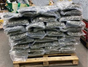 Civitavecchia - Guardia di finanza - Sequestrati 8 chili di cocaina e 93 di marijuana al porto