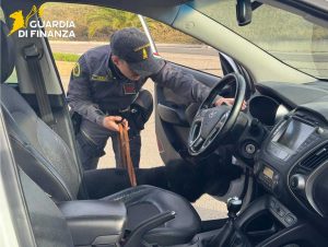 Roma - Guardia di finanza - Frida in azione