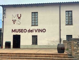 Castiglione in Teverina - Museo del vino