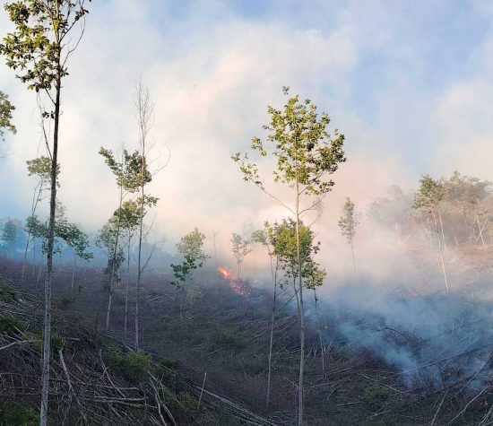 Incendio a Canepina - In azione anche Royal Wolf Rangers di Vasanello
