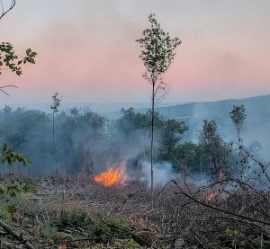 Incendio a Canepina - In azione anche Royal Wolf Rangers di Vasanello