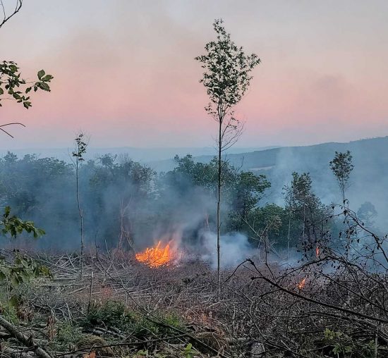 Incendio a Canepina - In azione anche Royal Wolf Rangers di Vasanello