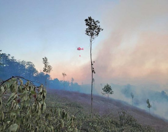 Incendio a Canepina - In azione anche Royal Wolf Rangers di Vasanello