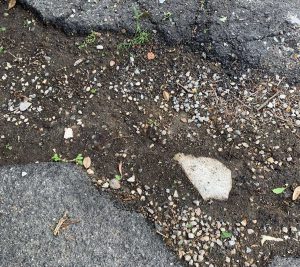 Viterbo - Angolo non asfaltato di via Carlo Cattaneo